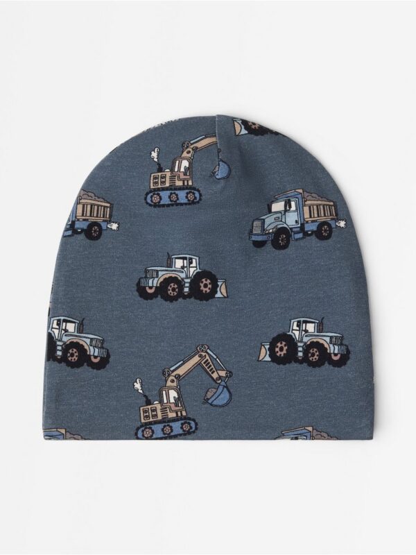 Beanie with lining - 3007659-2498