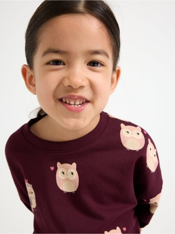Sweatshirt with brushed inside - 3007987-7268