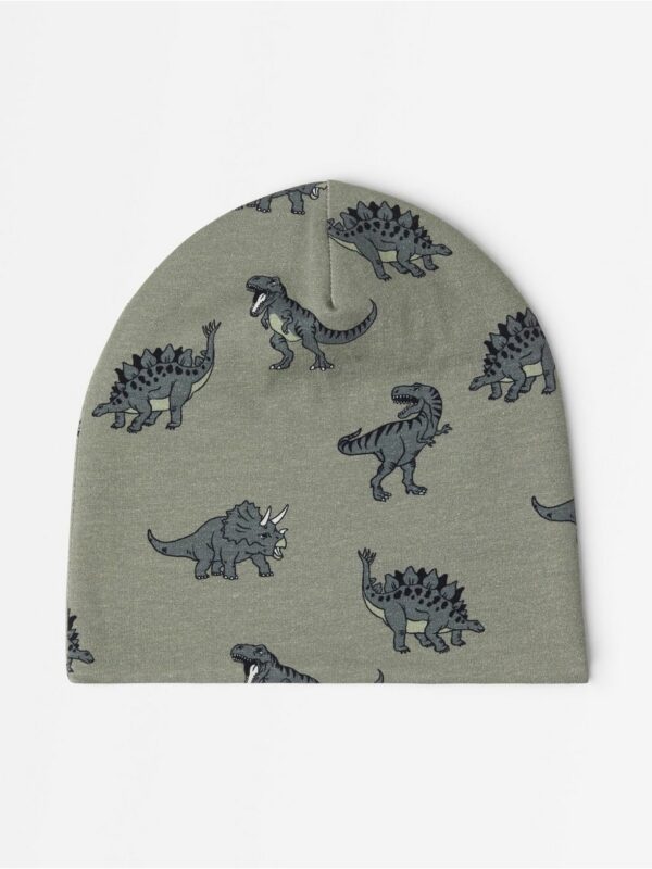 Beanie with lining - 3007659-6901
