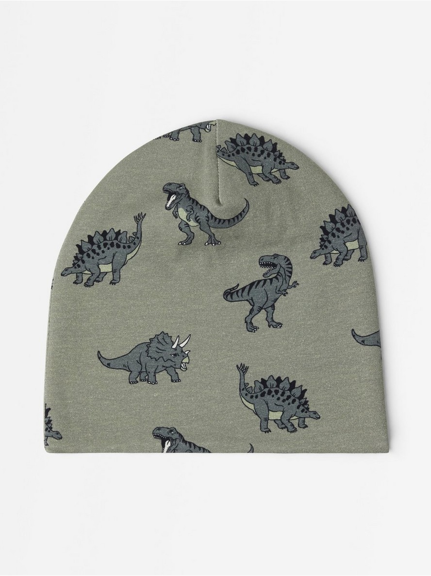 Kapa – Beanie with lining
