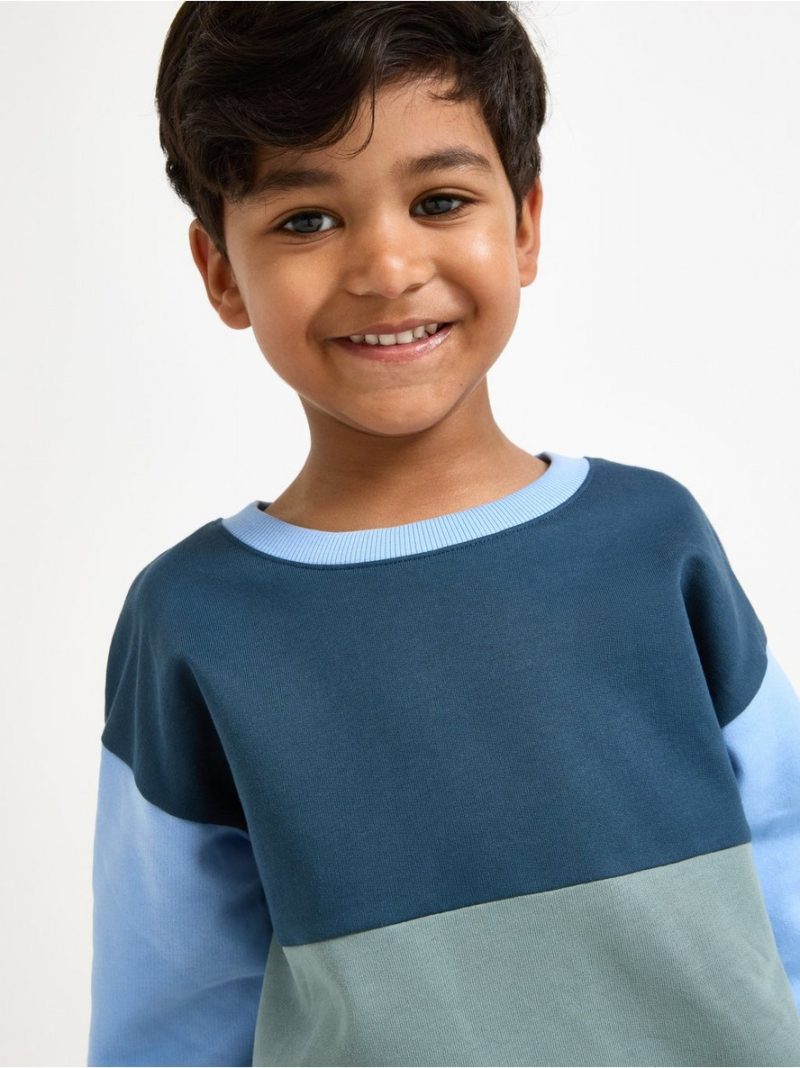 Sweatshirt with brushed inside - 3002726-8851