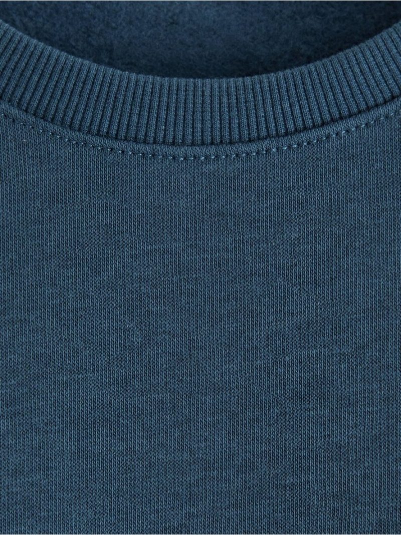 Sweatshirt with brushed inside - 3004577-2065