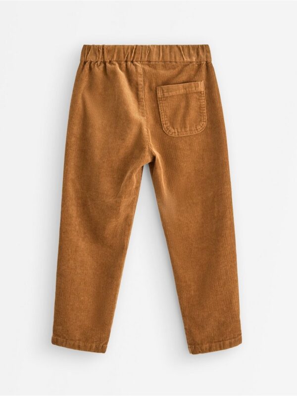 Trousers in corduroy - 3007293-1767