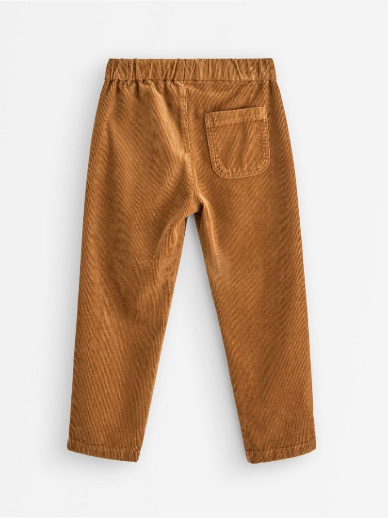 Pantalone - Trousers in corduroy - 3007293-1767