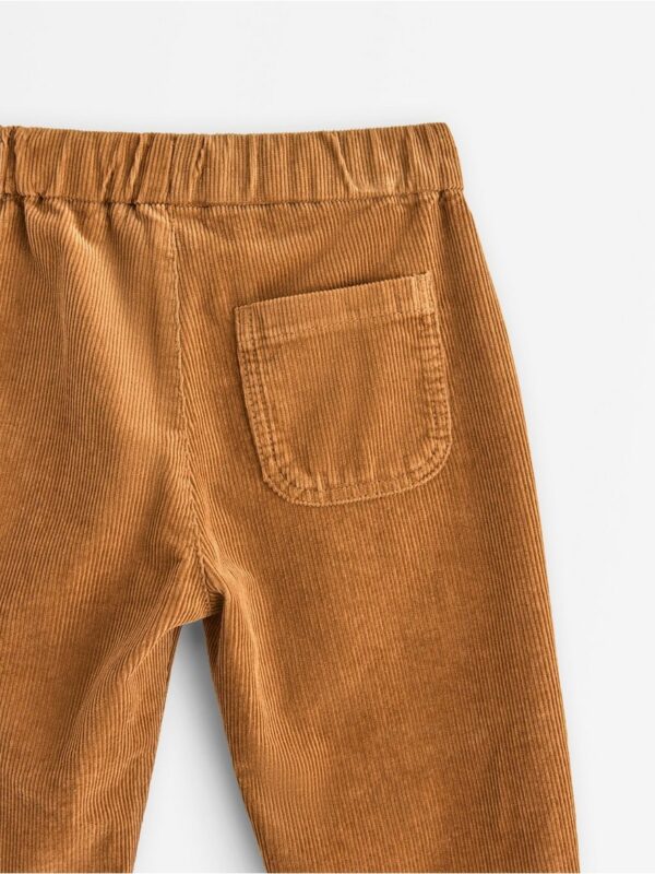 Trousers in corduroy - 3007293-1767