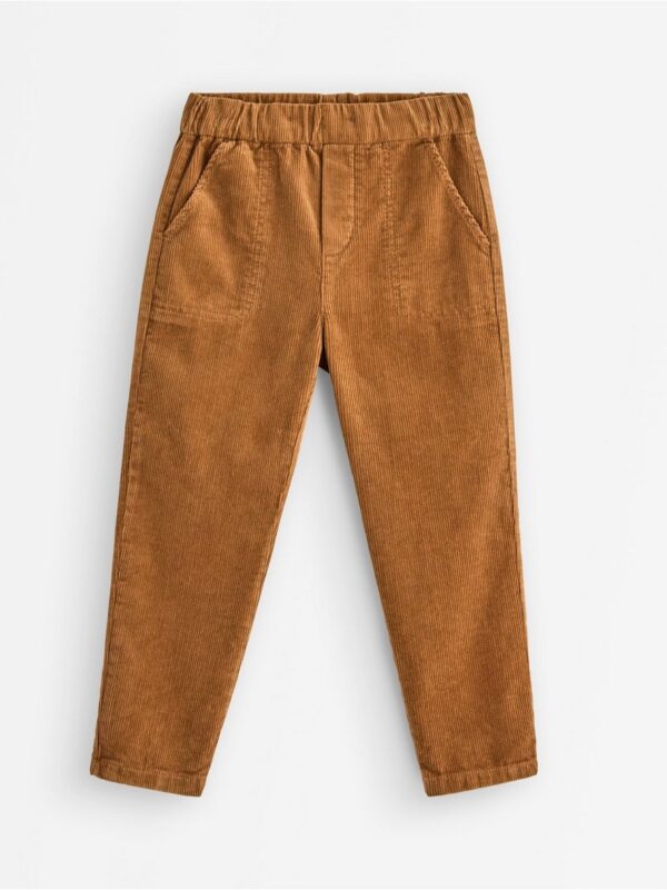 Trousers in corduroy - 3007293-1767