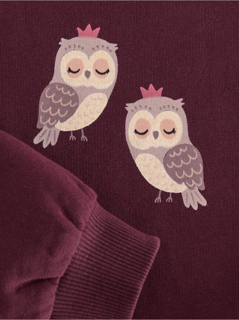 Sweatshirt with brushed inside - 3007987-7268