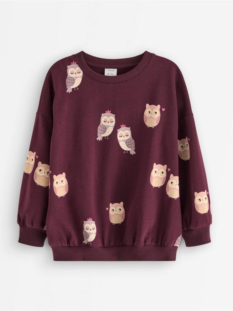 Sweatshirt with brushed inside - 3007987-7268