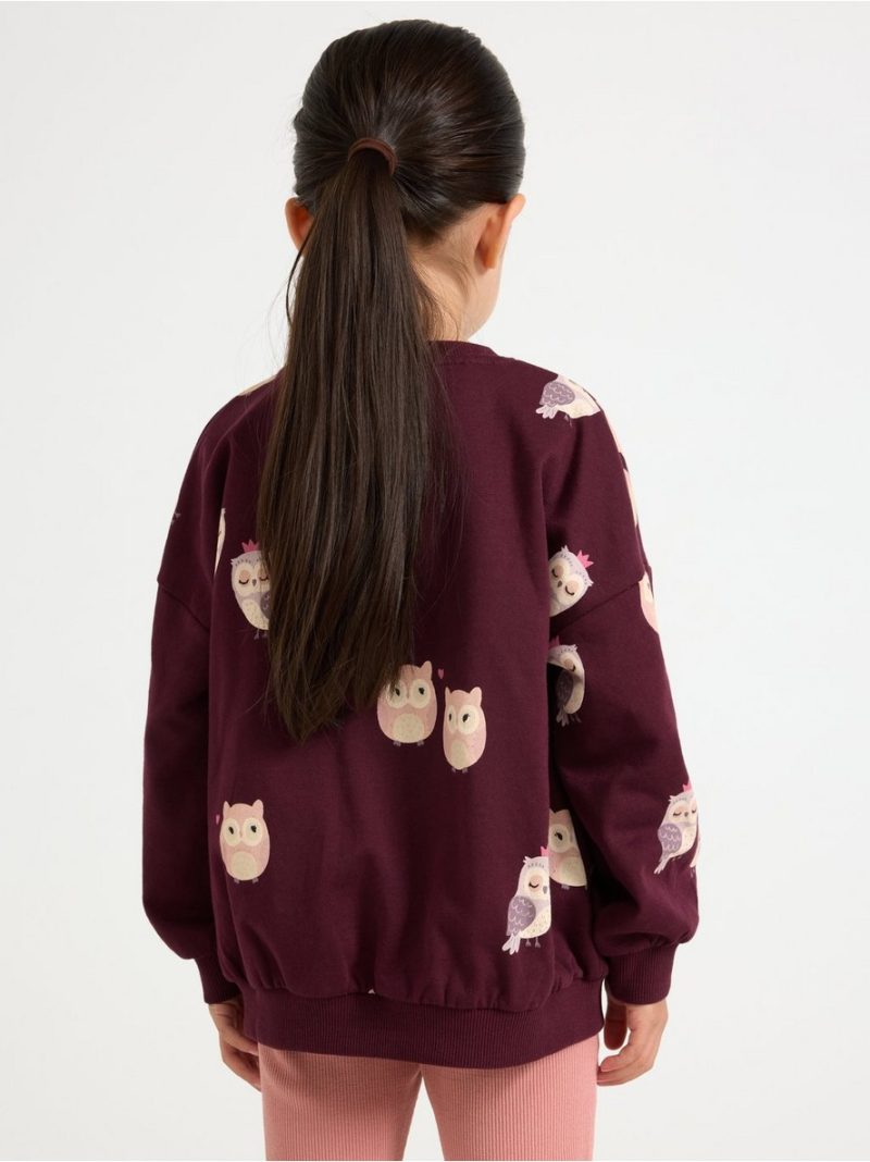 Sweatshirt with brushed inside - 3007987-7268