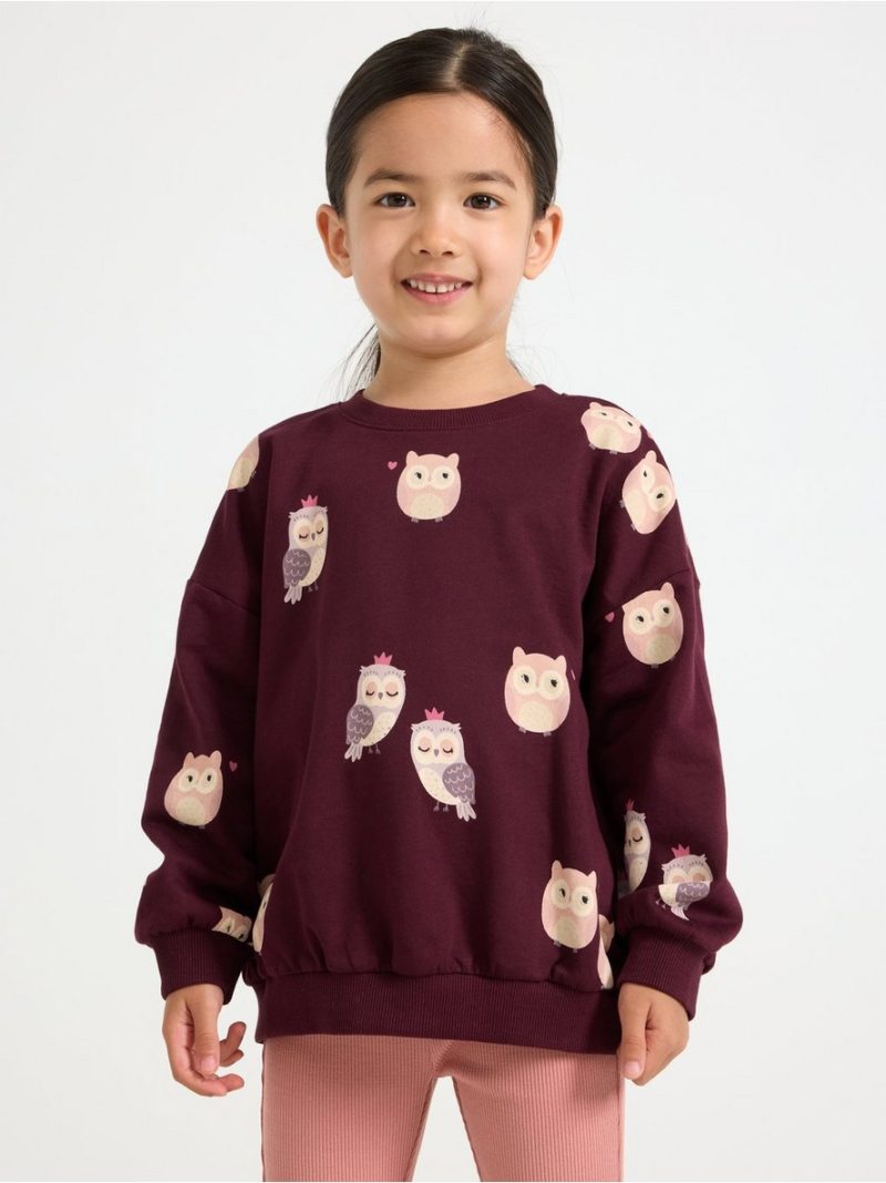 Sweatshirt with brushed inside - 3007987-7268