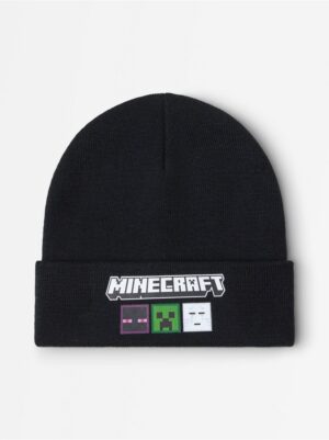 Minecraft  beanie - 3008022-80