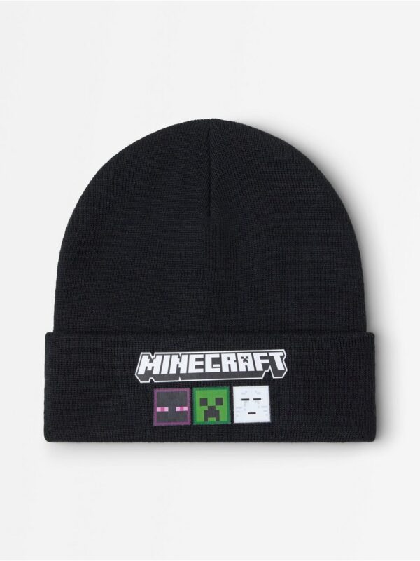 Minecraft  beanie - 3008022-80