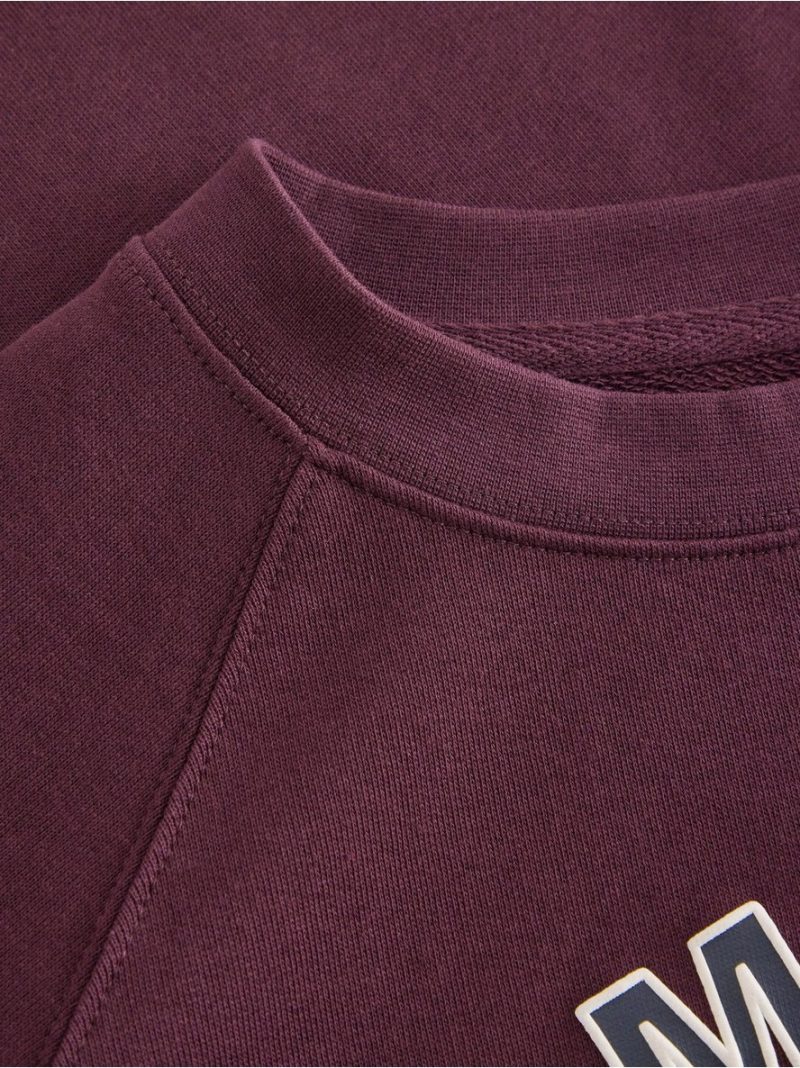 Sweatshirt - 3008079-7268