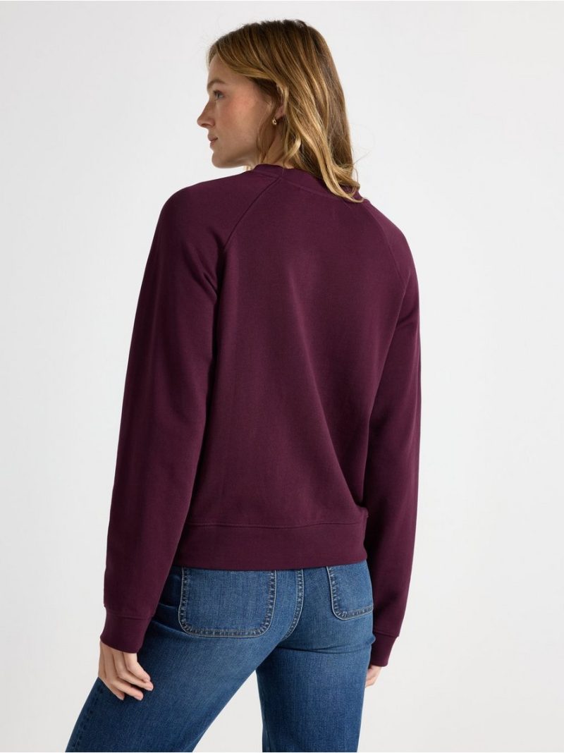 Sweatshirt - 3008079-7268