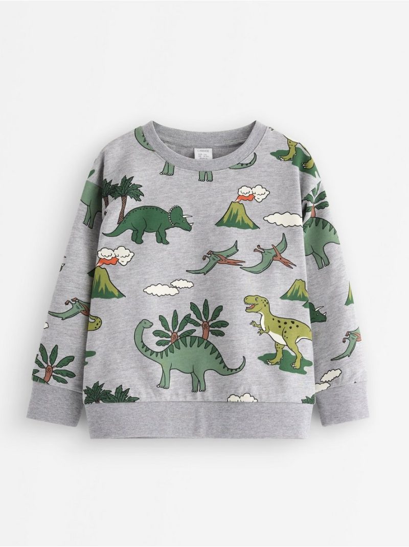 Sweatshirt with brushed inside - 3007067-7692