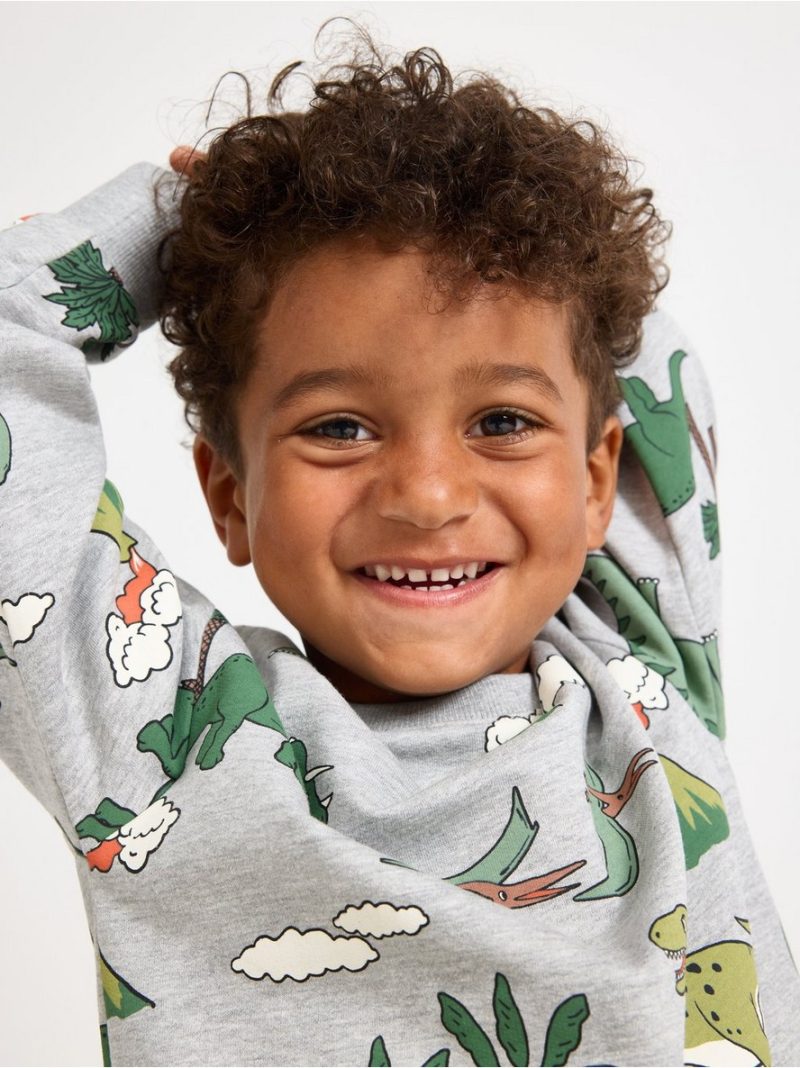 Sweatshirt with brushed inside - 3007067-7692