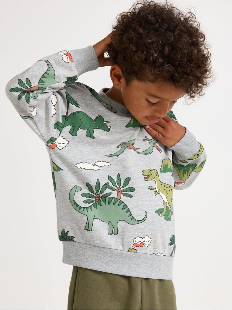 Sweatshirt with brushed inside - 3007067-7692