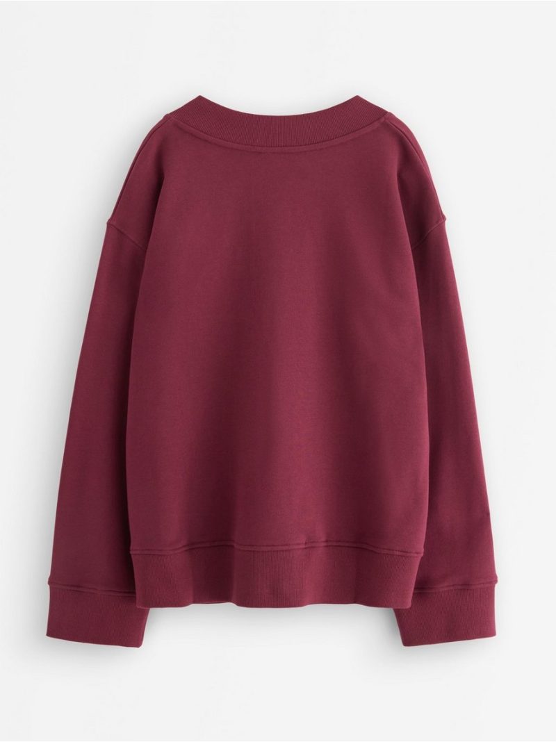 Sweatshirt with v-neck - 3007352-1753