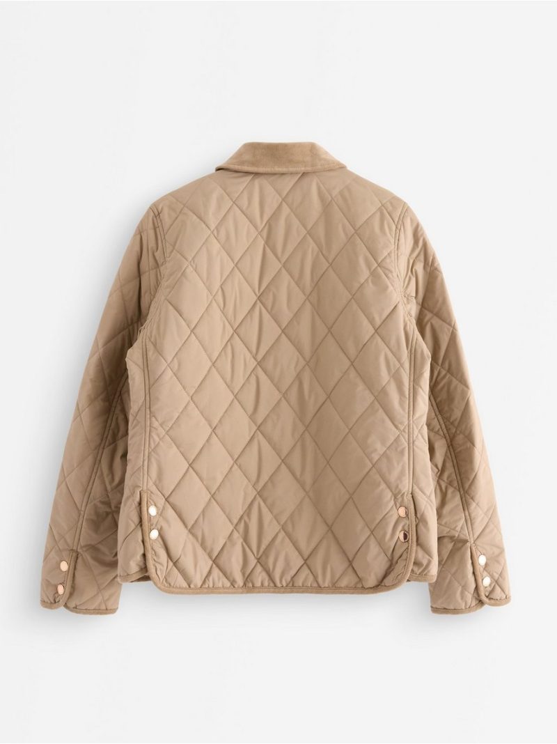Quilted jacket - 3007771-9609