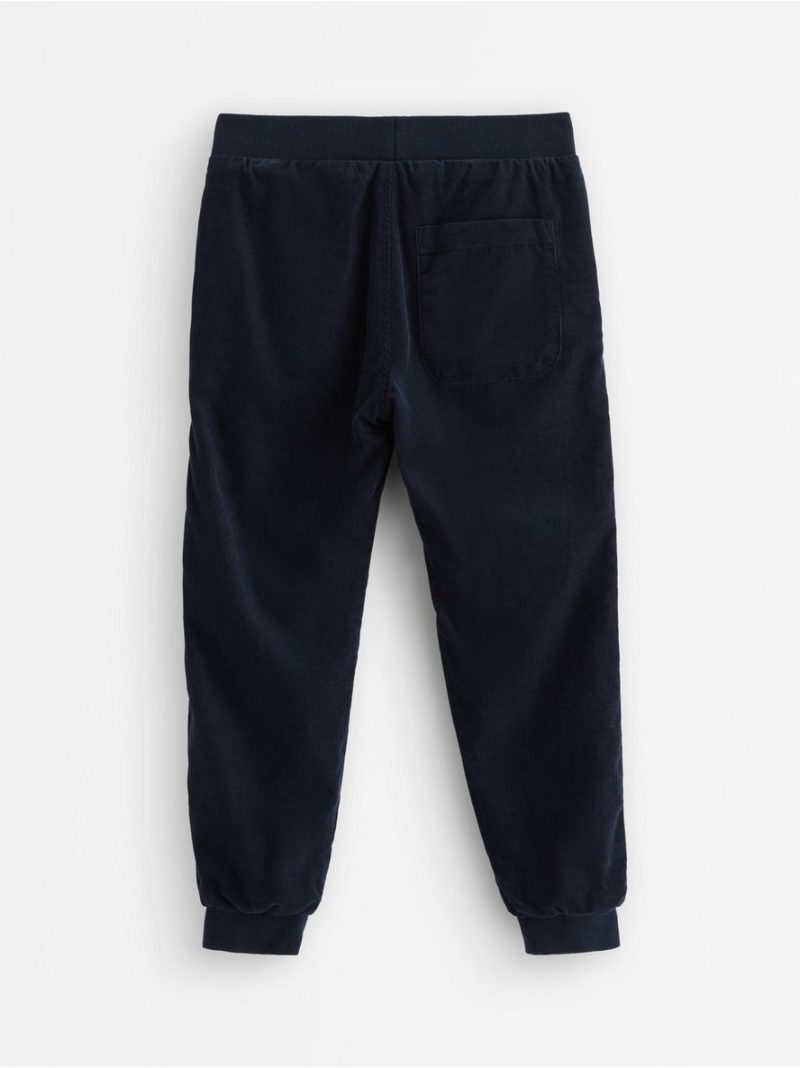 Trousers in corduroy - 3007797-2521