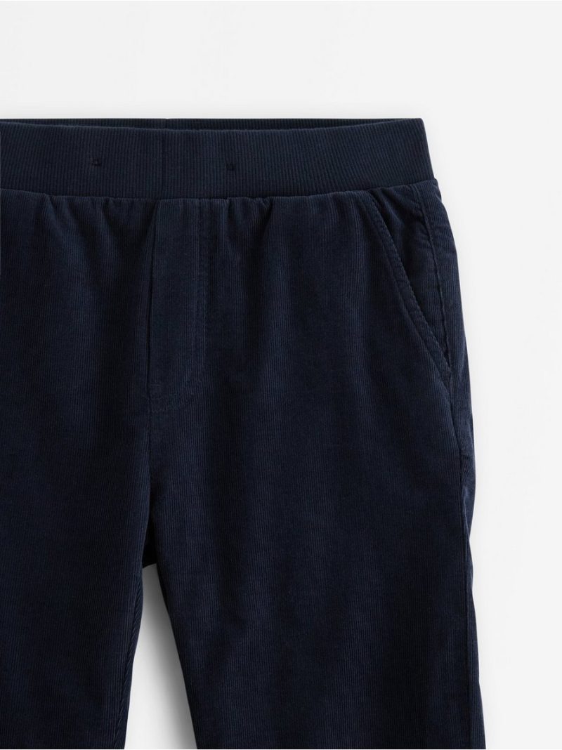 Trousers in corduroy - 3007797-2521