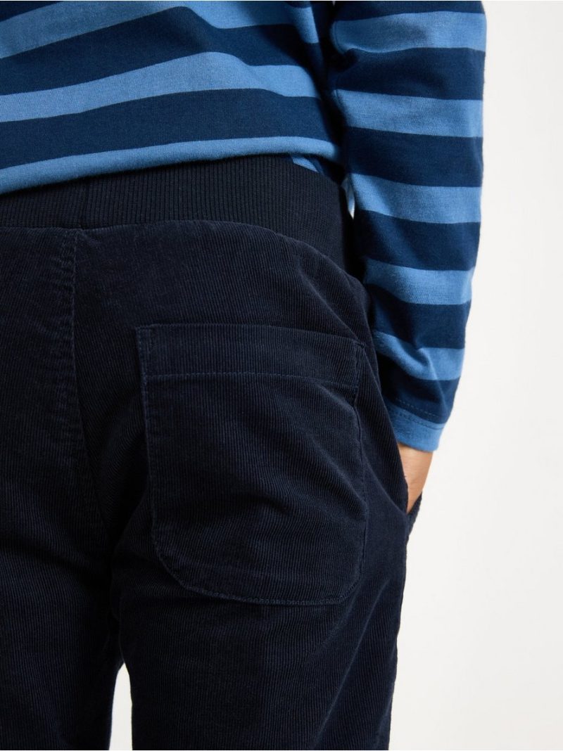 Trousers in corduroy - 3007797-2521