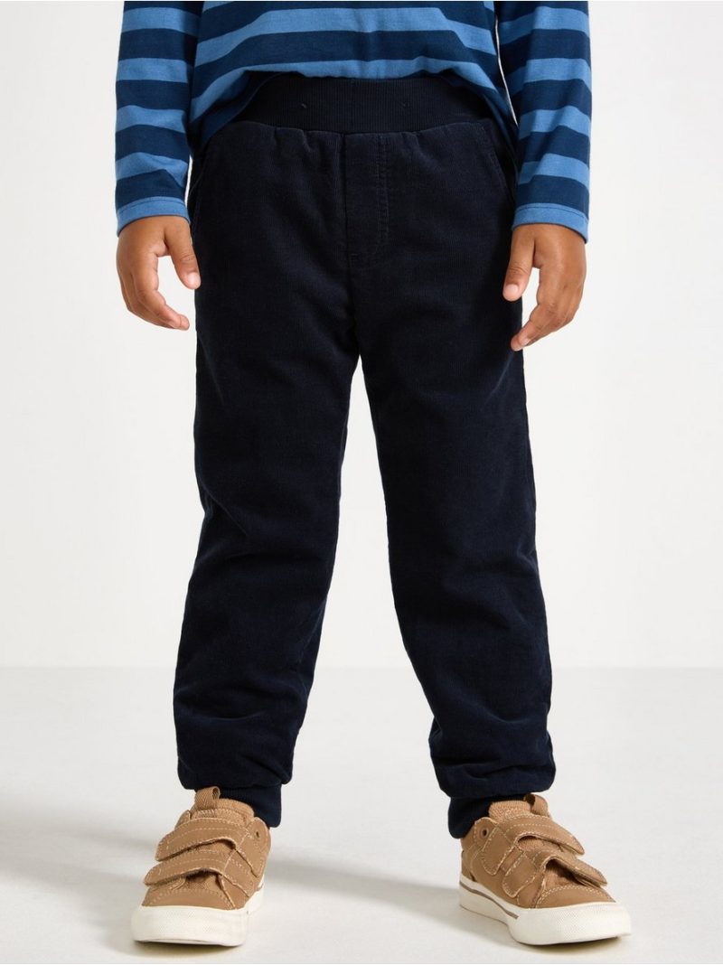 Trousers in corduroy - 3007797-2521