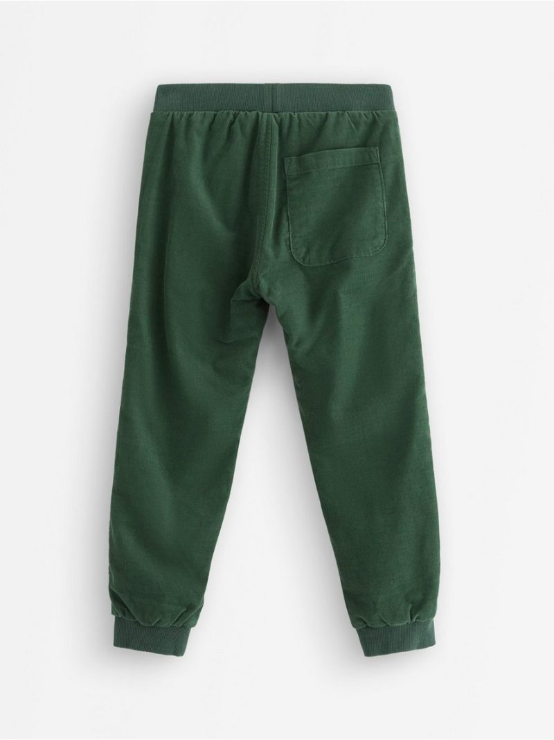 Trousers in corduroy - 3007797-8599