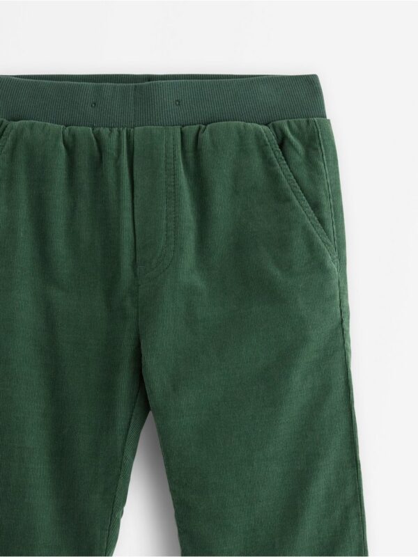 Trousers in corduroy - 3007797-8599