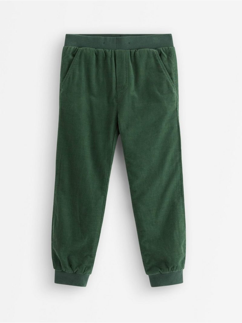 Trousers in corduroy - 3007797-8599