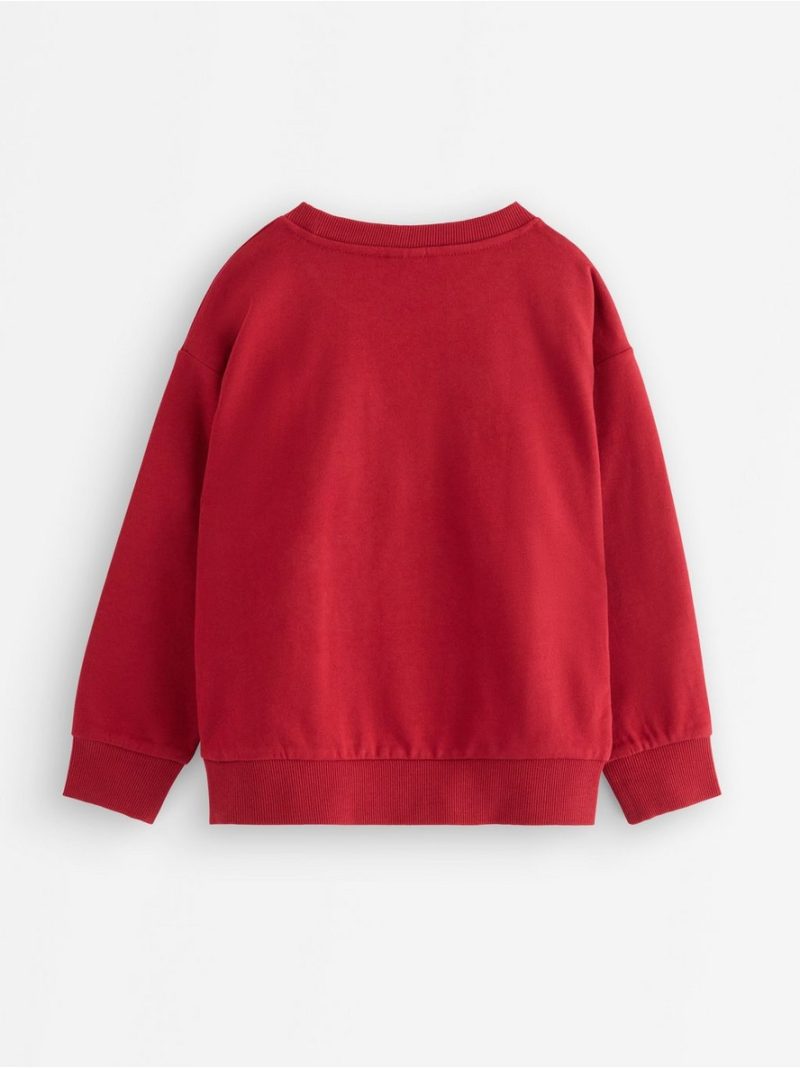 Sweatshirt with brushed inside - 3008526-7395