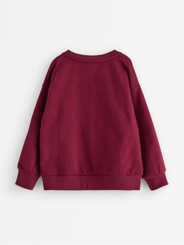 Sweatshirt with brushed inside - 3009016-8915