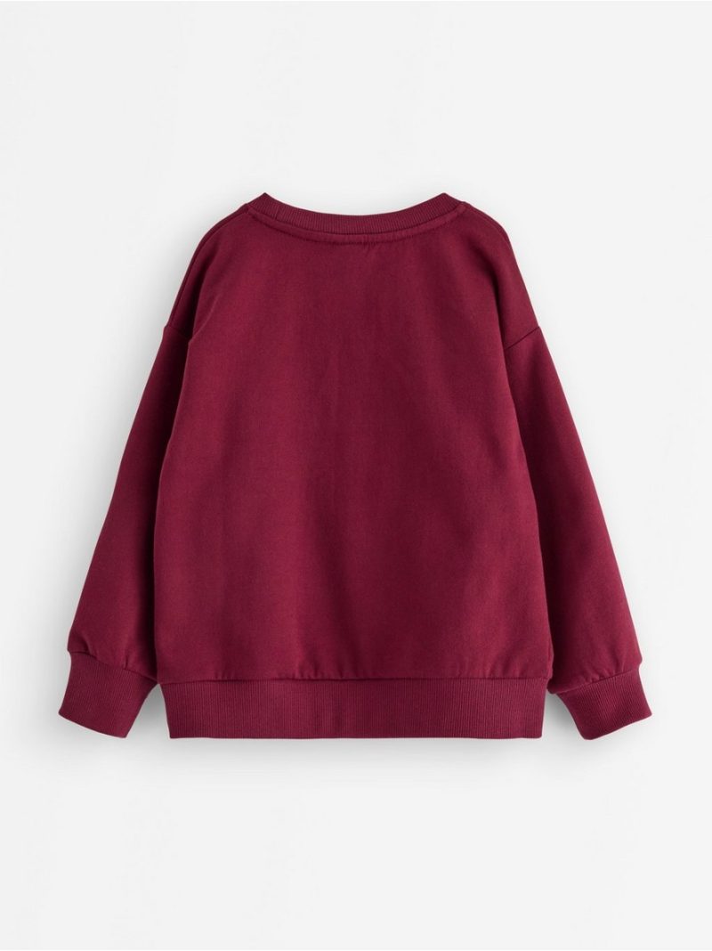 Sweatshirt with brushed inside - 3009016-8915