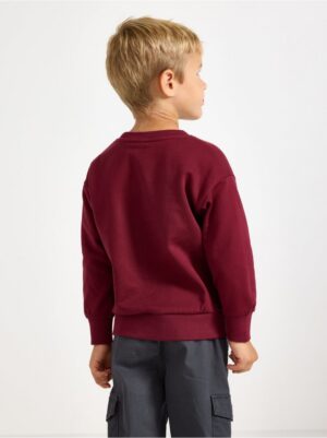 Sweatshirt with brushed inside - 3009016-8915