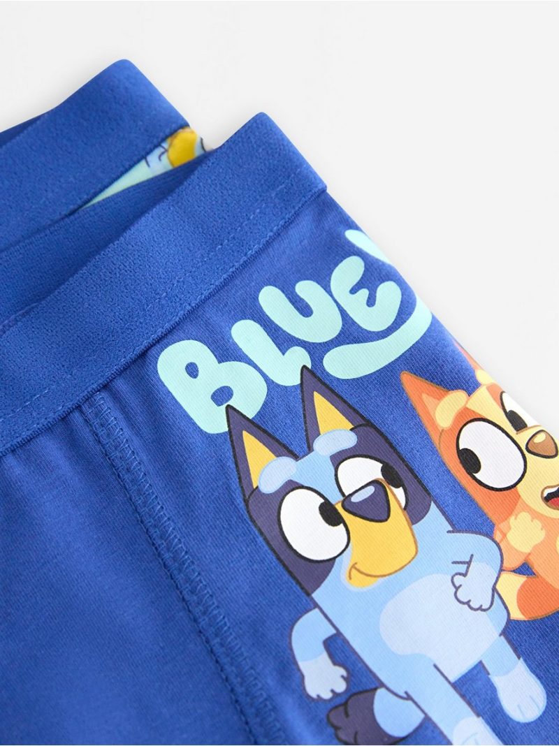 2-pack Bluey  boxer shorts - 3009996-2023