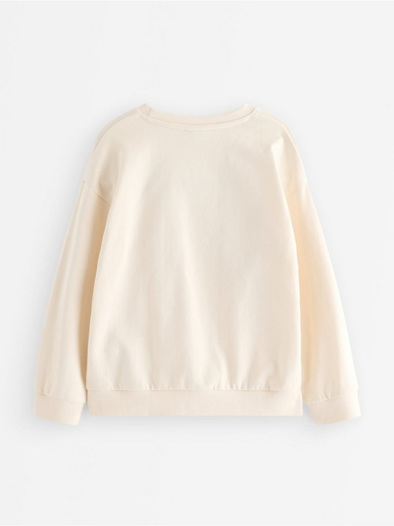 Sweatshirt with brushed inside - 3010513-6728