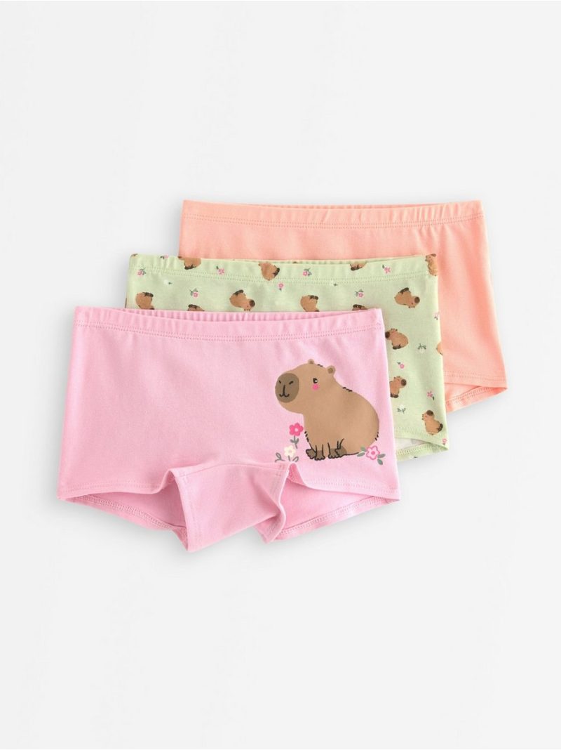 3-pack boxer briefs with capybara motif - 3010213-1160