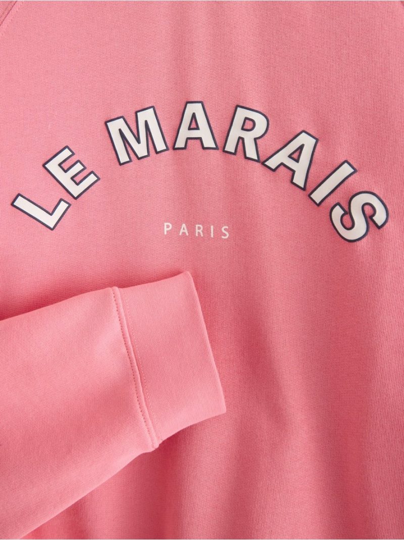 Sweatshirt - 3008079-8393