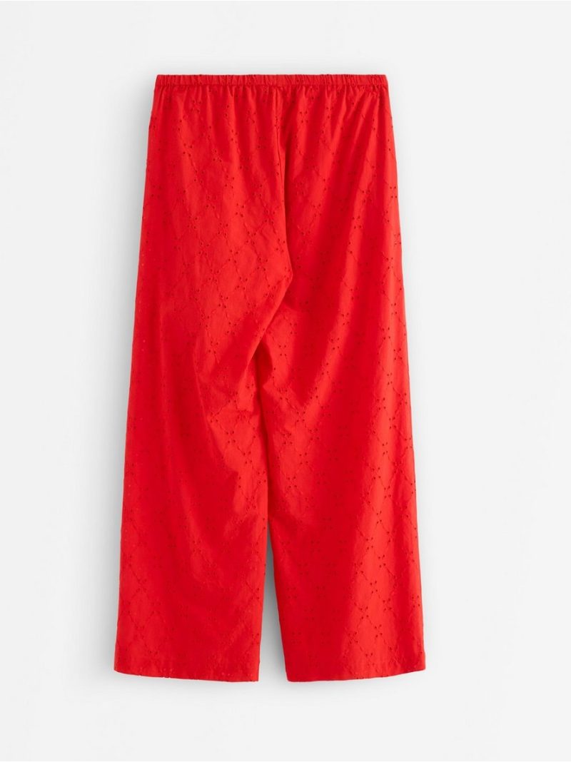 Trousers with embroidery - 3011304-6324