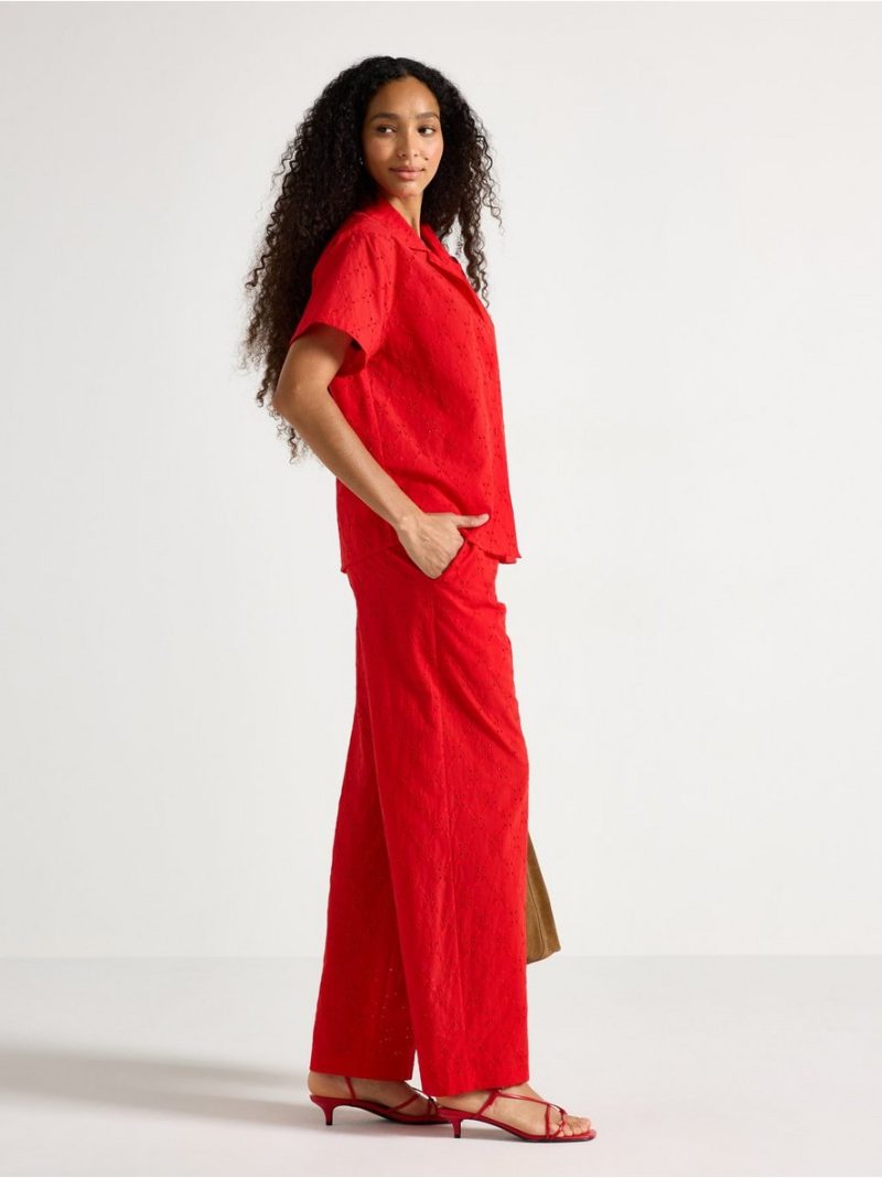Trousers with embroidery - 3011304-6324