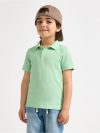 Short-sleeved polo shirt - 3012905-6836