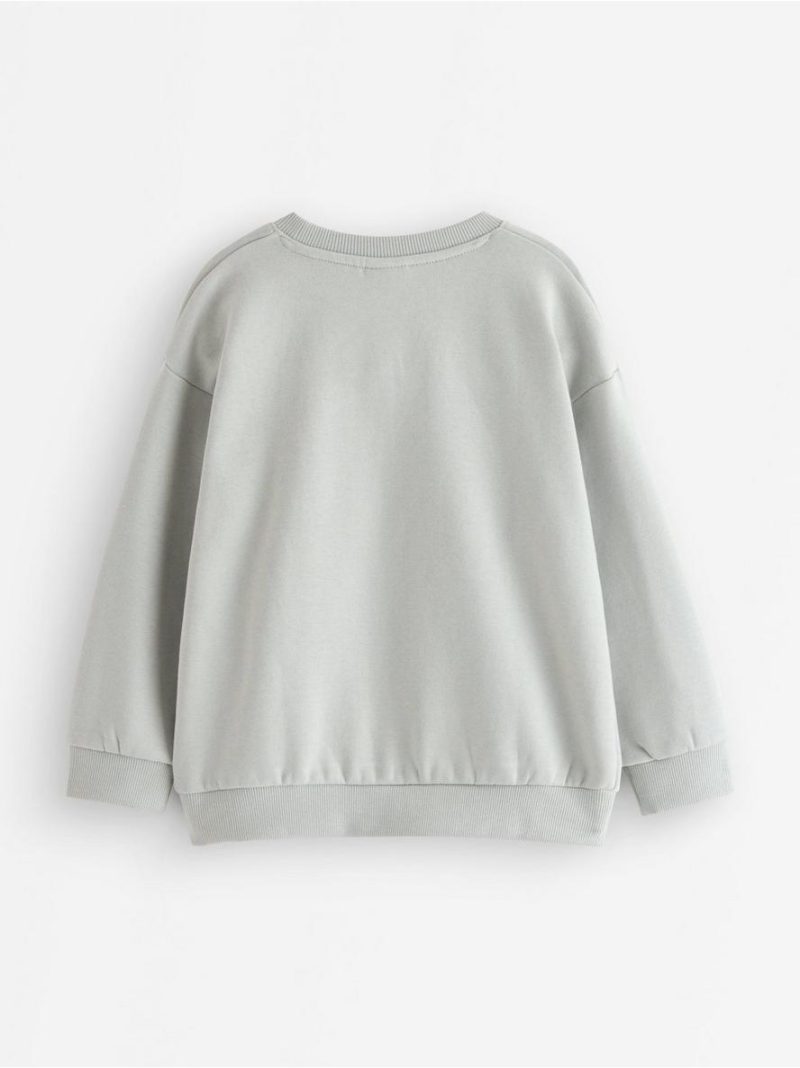 Pokémon sweatshirt with brushed inside - 3012538-7986
