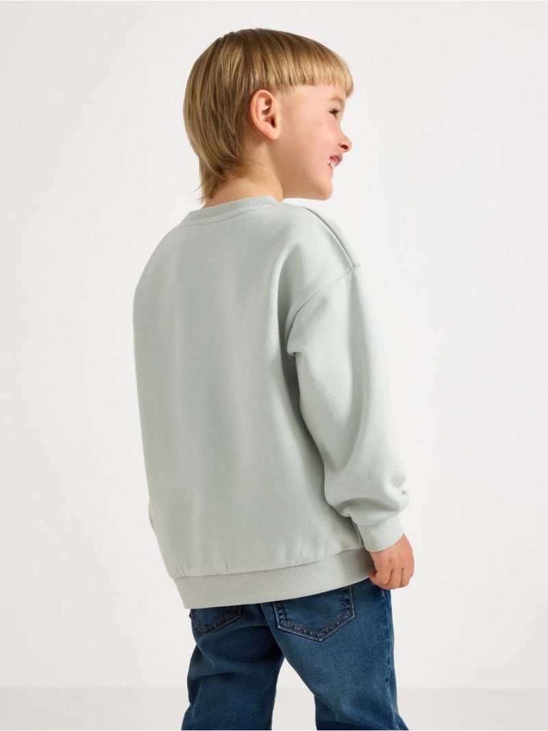 Pokémon sweatshirt with brushed inside - 3012538-7986