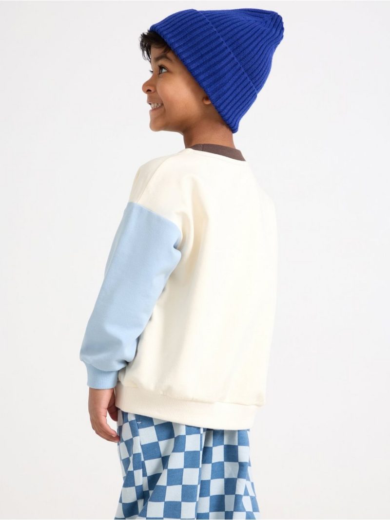 Sweatshirt with brushed inside - 3011668-6728