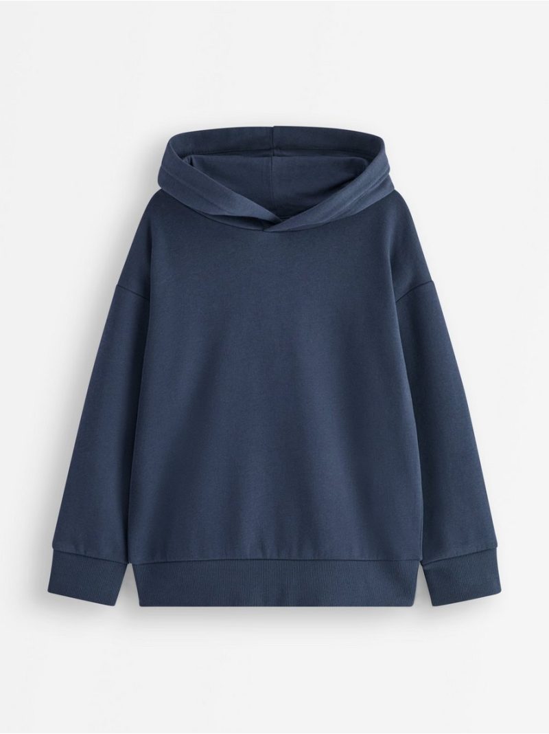 Hoodie - 3012079-2150