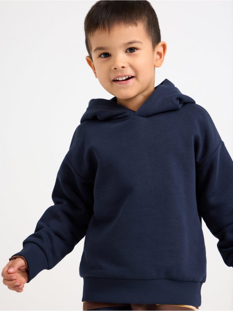 Hoodie - 3012079-2150