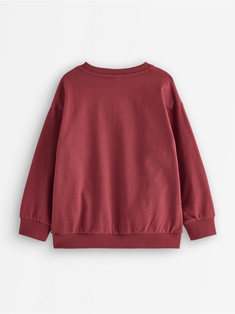 Sweatshirt with brushed inside - 3012401-7936