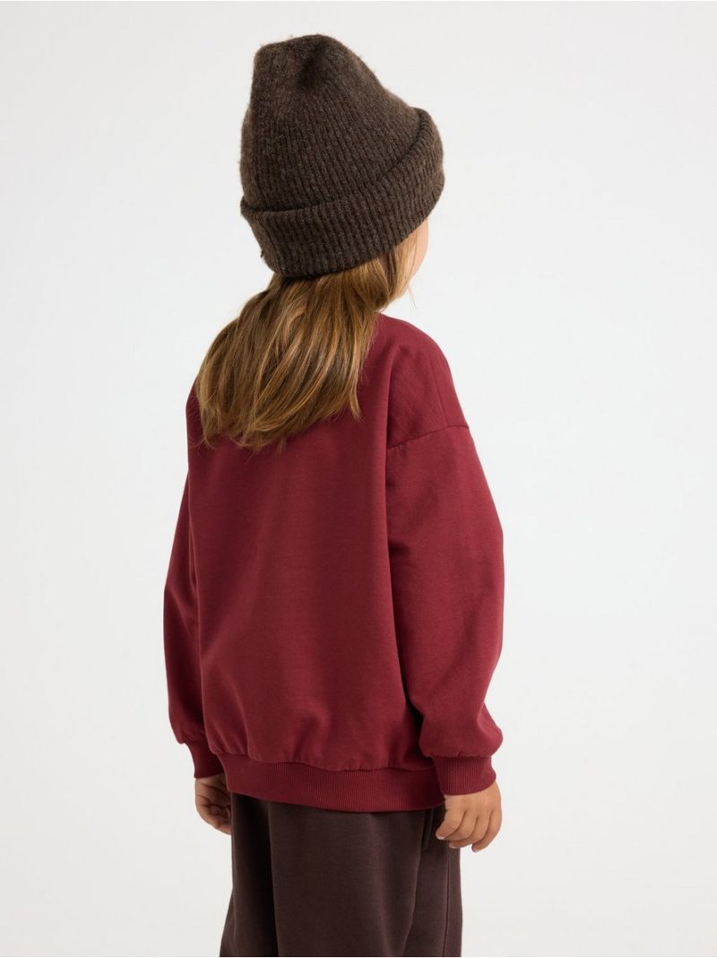 Sweatshirt with brushed inside - 3012401-7936