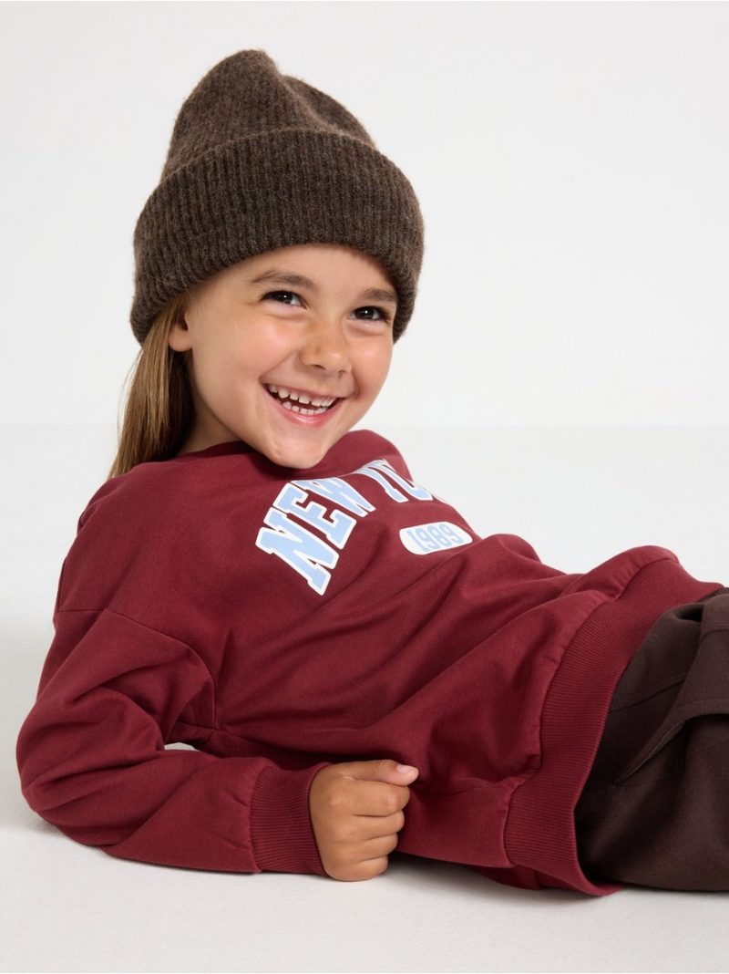 Sweatshirt with brushed inside - 3012401-7936