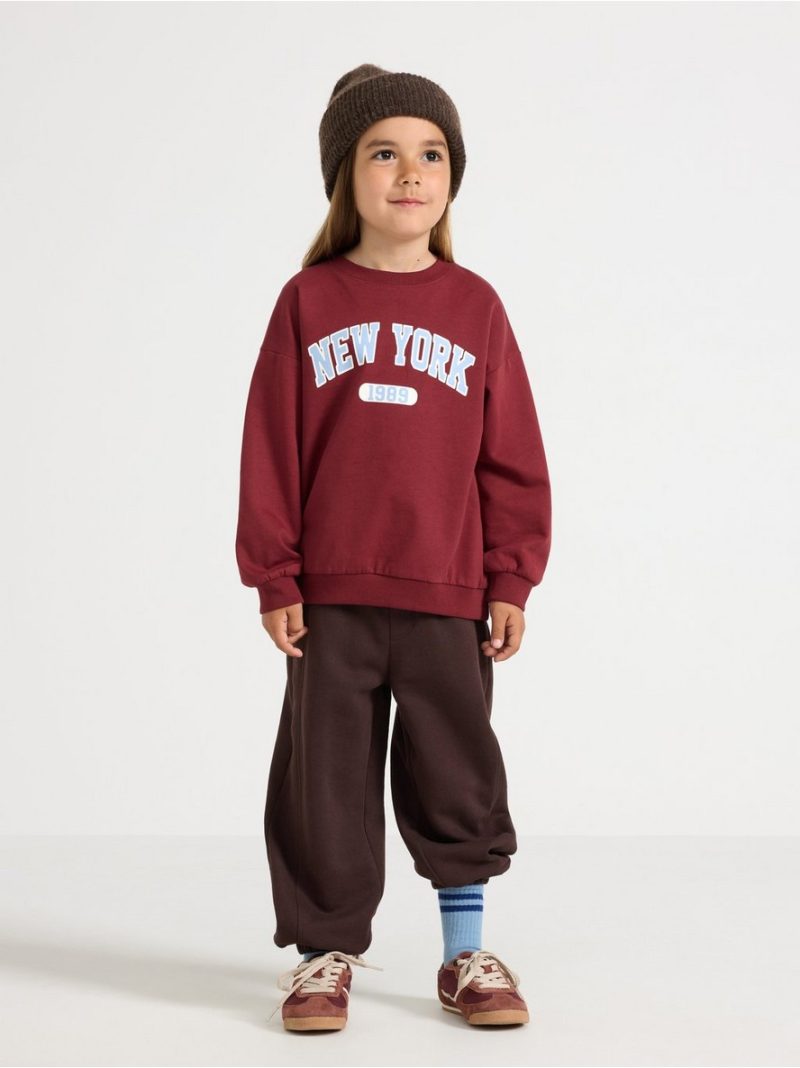 Sweatshirt with brushed inside - 3012401-7936